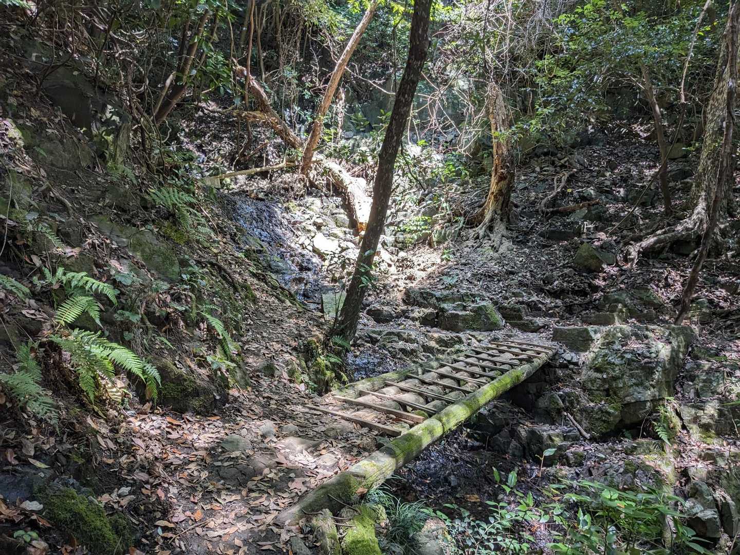 登山風景🚶💦