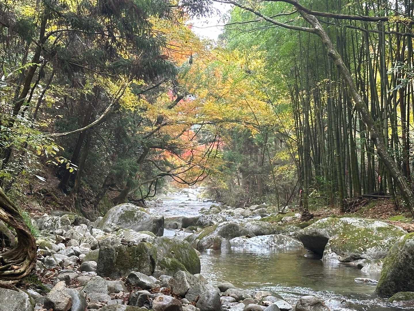 土岳登山口-土岳 縦走コースの写真