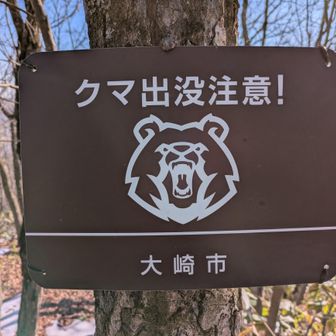 相方の「口の中にウサギいるよ」の発想力たるや