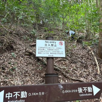 上の方から転がってます😆