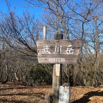 武川岳に到着
ここも広い山頂