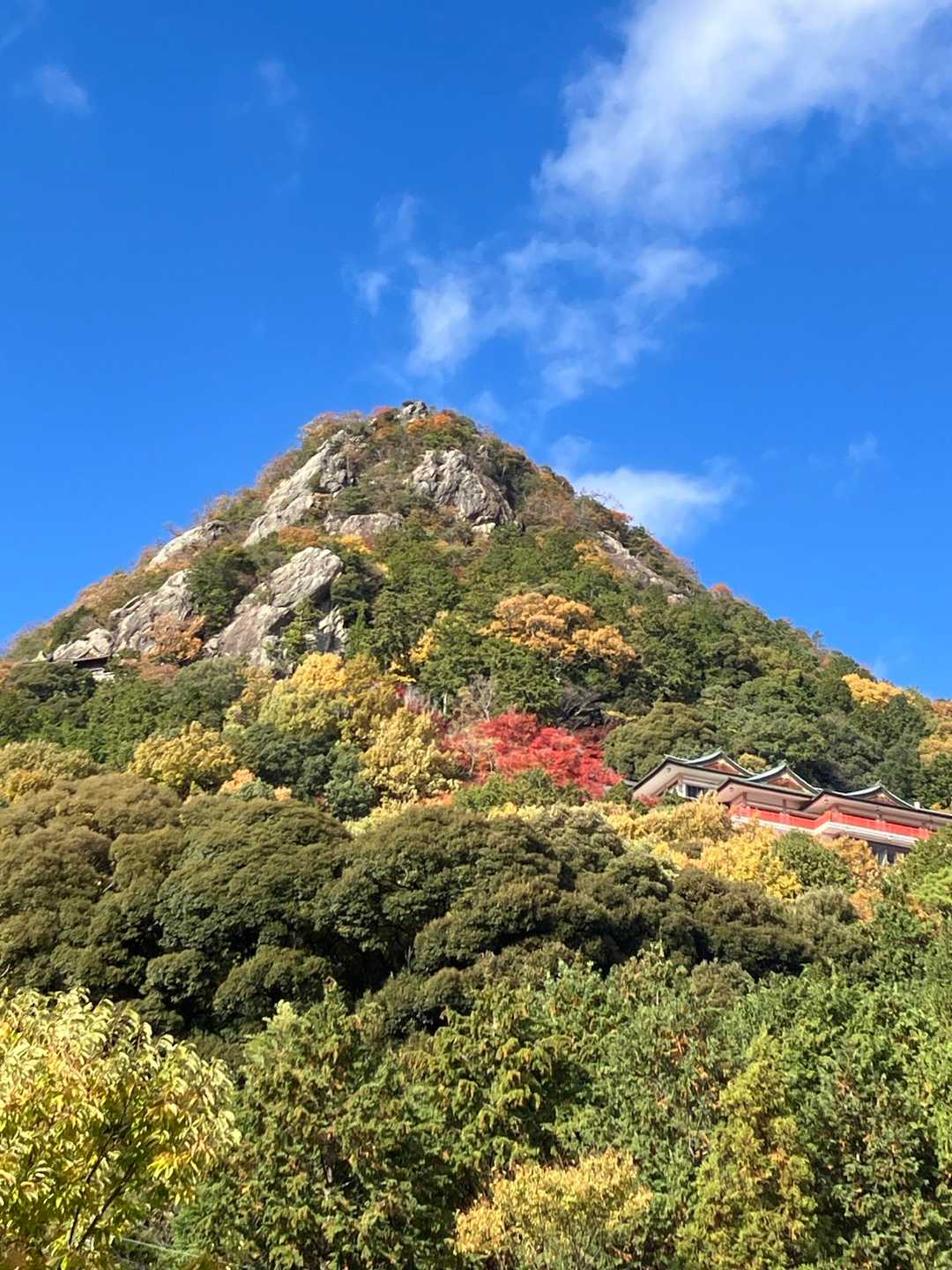 太郎坊宮を振り返って。