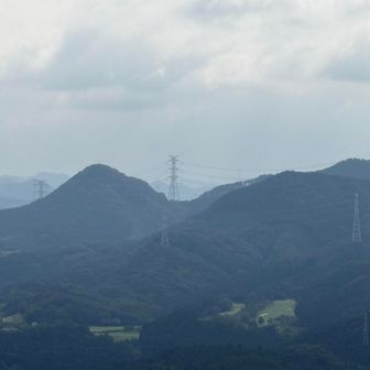 🍑が見えない･･･初めてかも