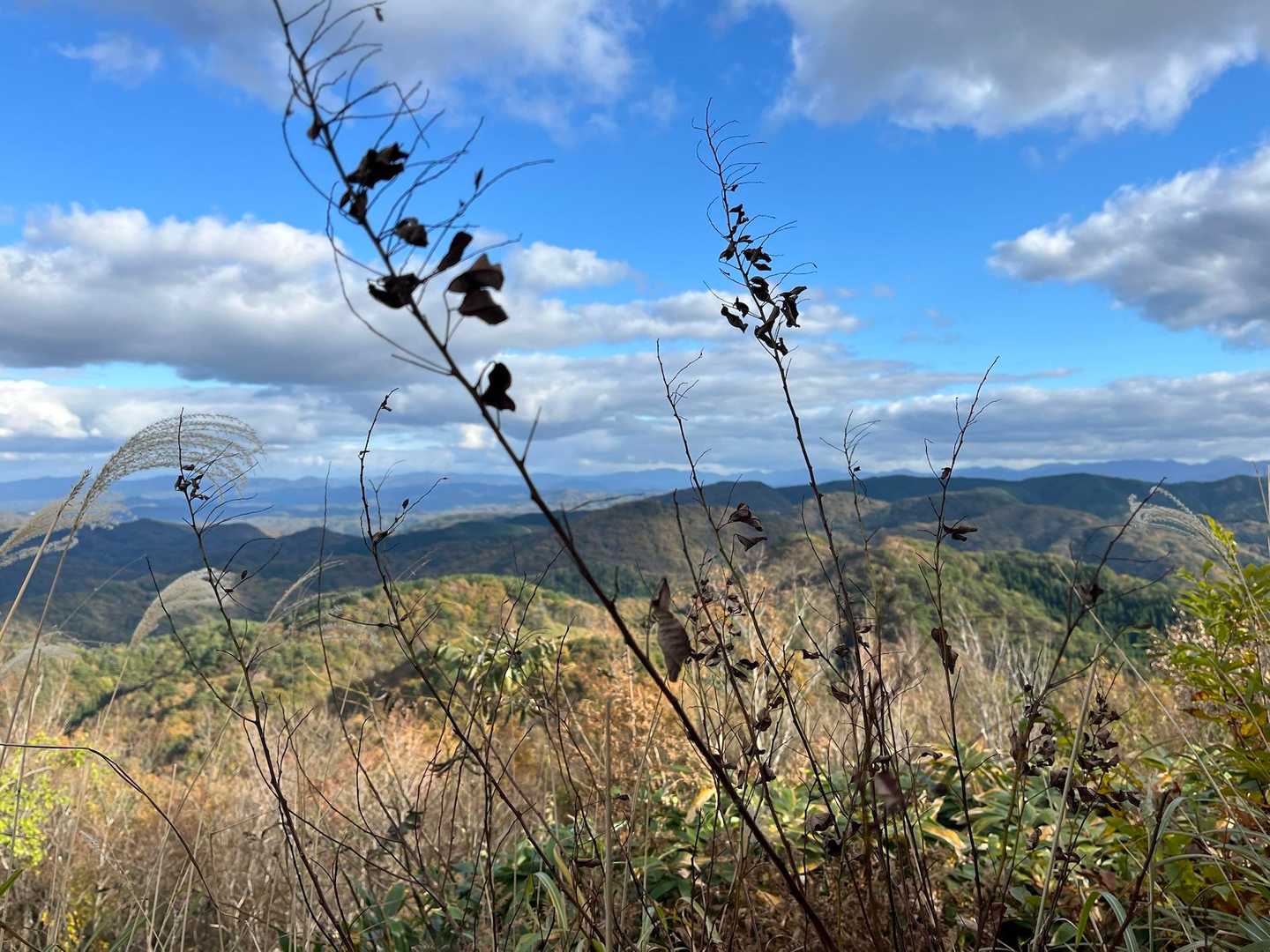 王院山登山口-東屋-王院山 往復コースの写真