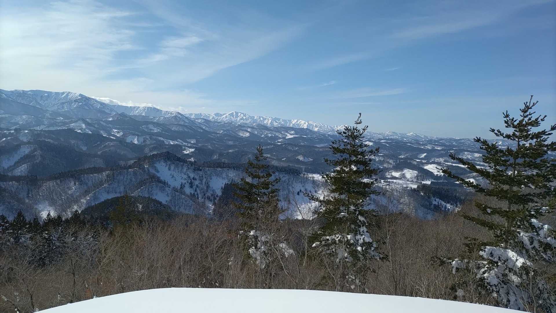 愛宕山 往復コースの写真