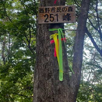 最後のピーク⛰