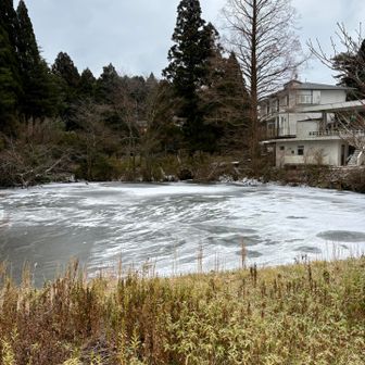 記念碑台のこちらの池は凍ってました✨
