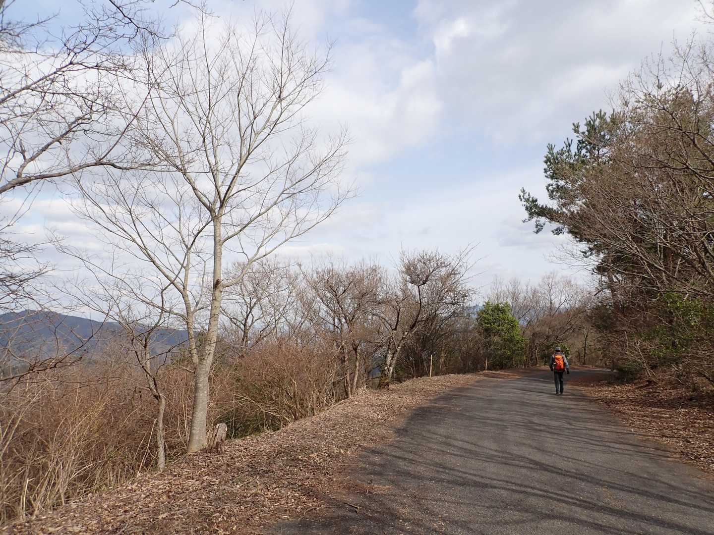 車道に合流
三頭山は車で上がって来れます