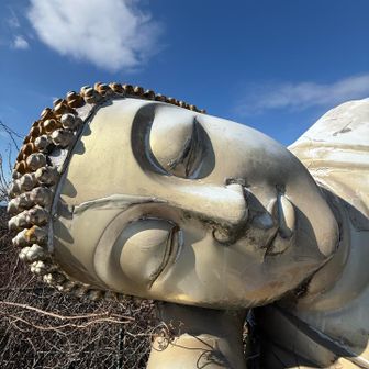 寝てる…オーイ！来たよ〜！起きてーー