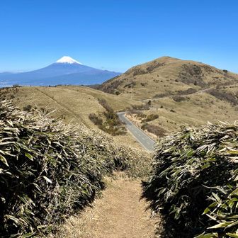 ほぼ無風で雲ひとつない
なんという山歩日和であろうか🤤
