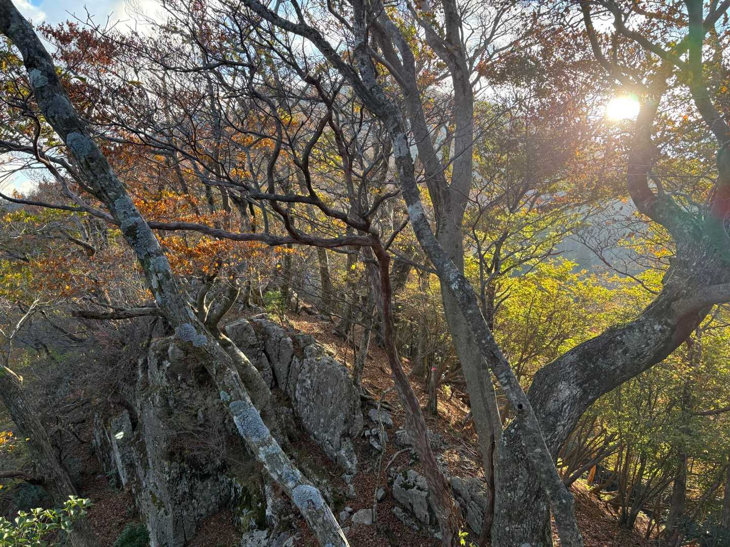 アケボノツツジ🌸も咲く、岩場の横を通り