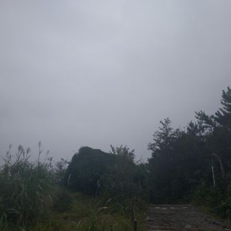 いつもなら相模湾が見えるんだけど…。