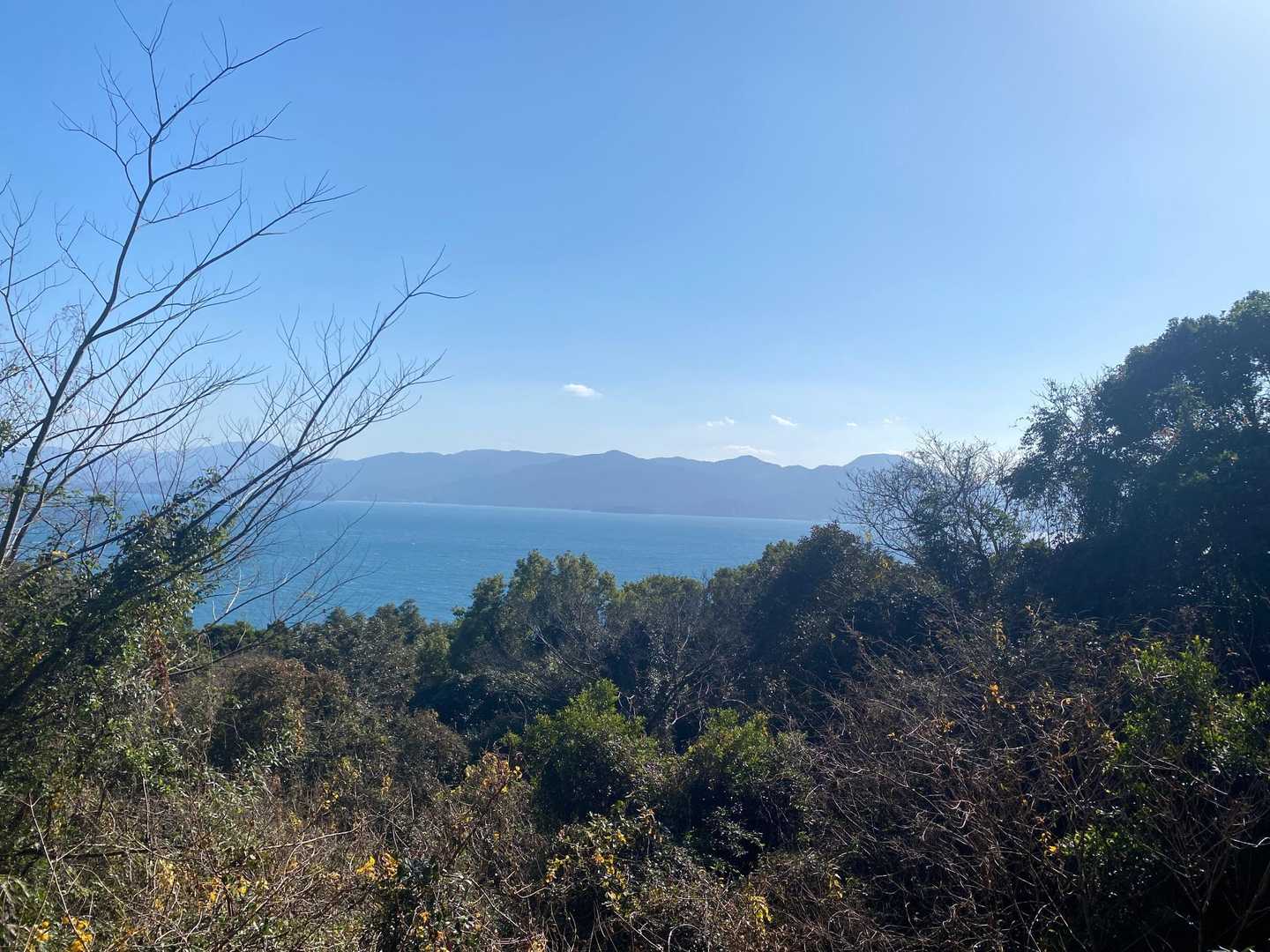 海だー