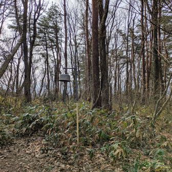 途中で気付いて戻りました↩️
そ～いえばベンチもあったし
左に行かなきゃでした😅
も一回🔔鳴らしといたわ