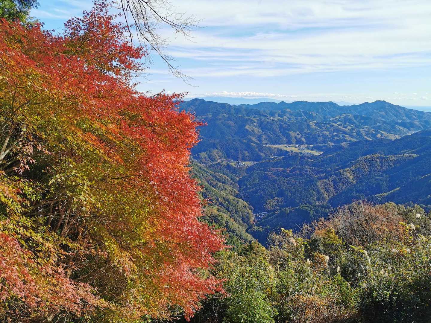 石谷山 往復コースの写真