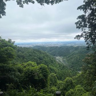 稲荷山付近より