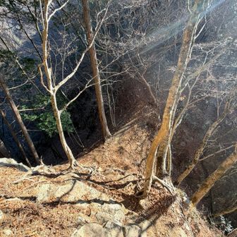 狭いコルに降ります。