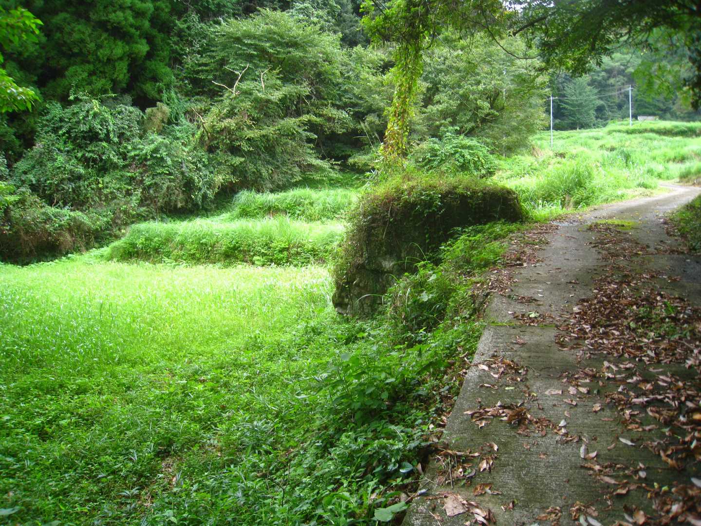 しばらく舗装路を歩きます。