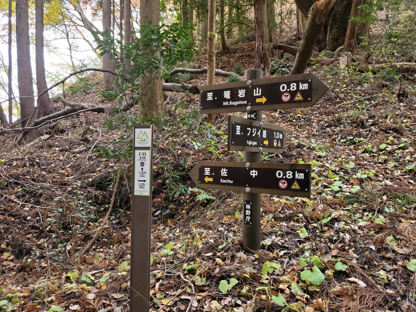 釜沢越の分岐。
今日は佐中に下ります。今度は男体山とからめて歩きたいな。