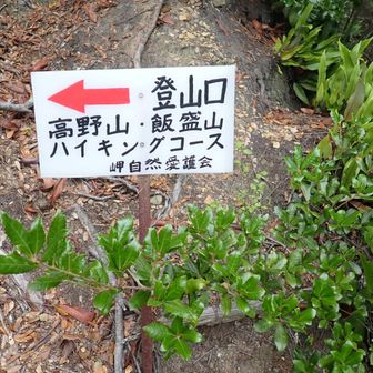 最後、急な山道を下ると・・登山口だった。