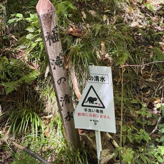 たぶん初めて来ました