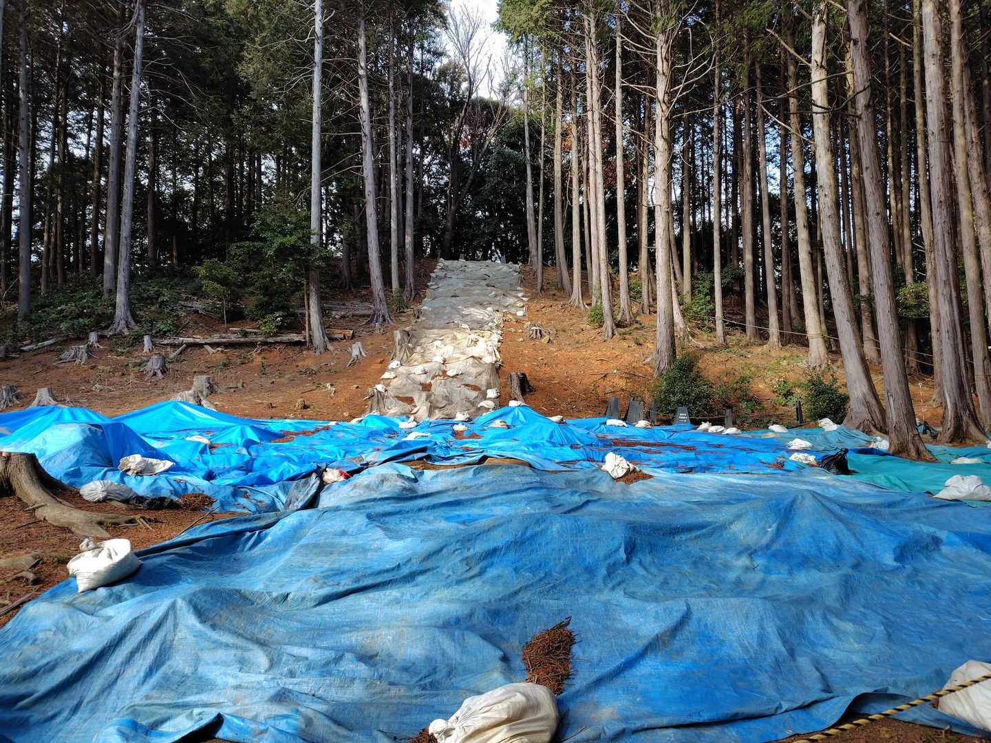 遺跡発掘調査中