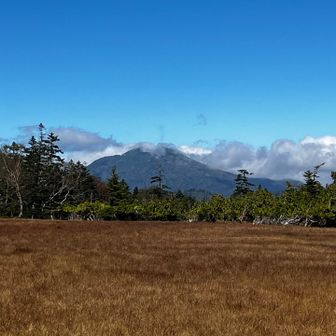 日光白根が
草紅葉
すっかり秋