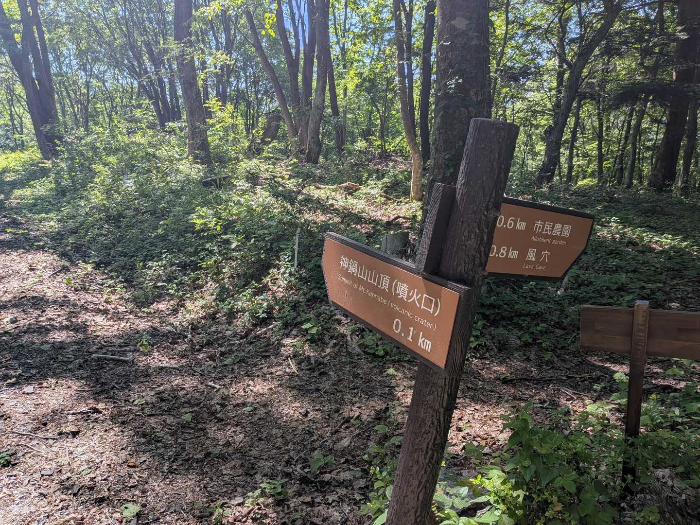 ランドマークから離れた先に、山頂への道標がある。