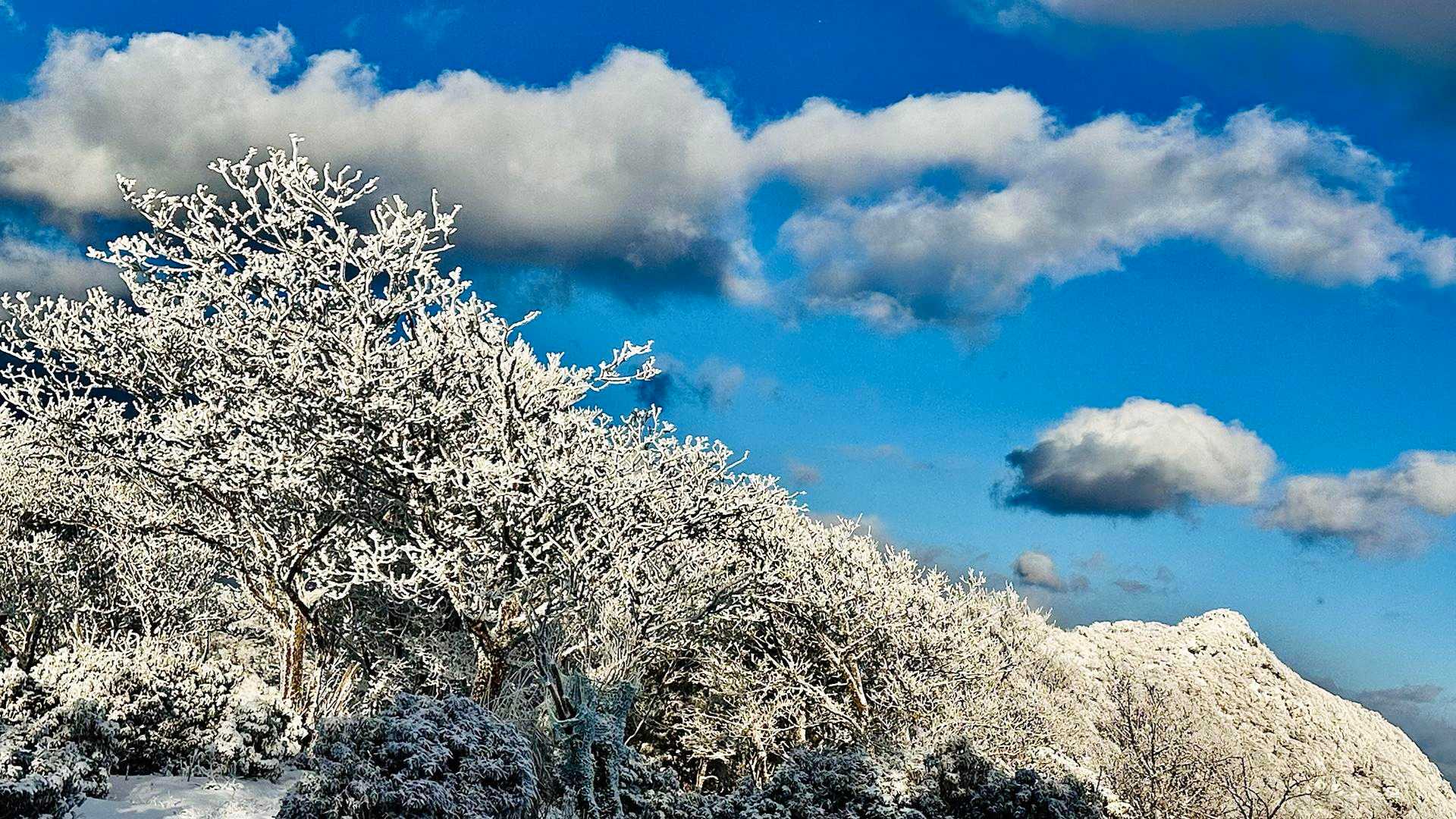 四季見橋登山口-親父山-障子岳 往復コースの写真