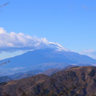 ヘタノヨコスキー