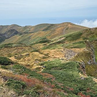 同じ写真ばかり📷