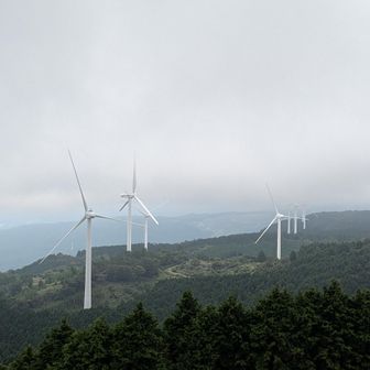 期待していた青空が...ない😅