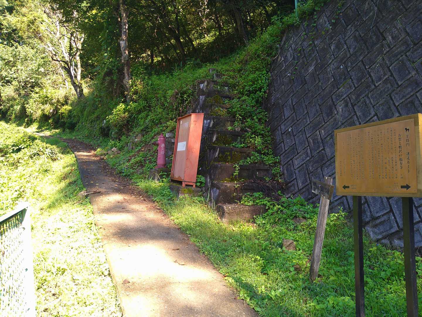 で、ここから駐車場に向けて登る。
既に滝のように汗が流れていて、一日中その状態…。