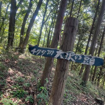 ここから下りでアドバイスもここ。