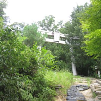 酒解神社の石鳥居は想像以上に大きい。