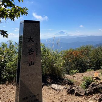 富士山もバッチリ👍