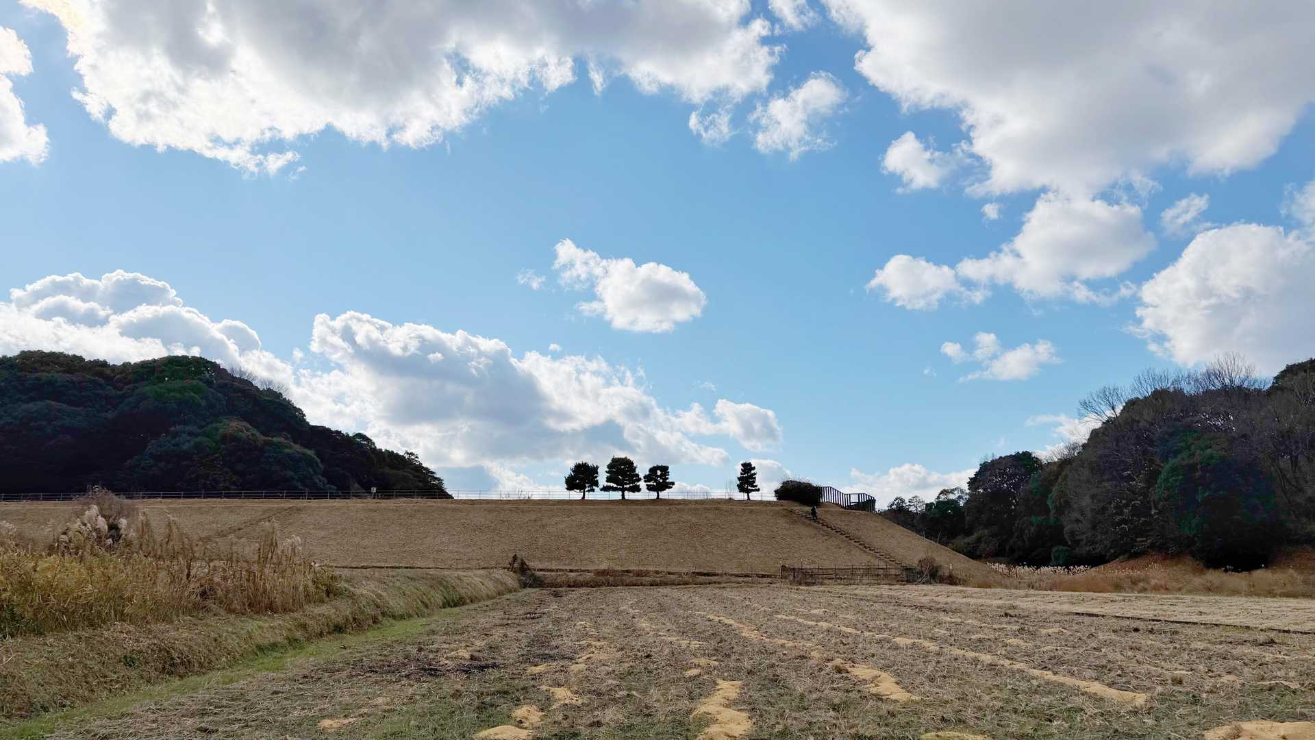 サクッと下山。遠くに見える　４本の木がなんだか可愛くてパチリ。