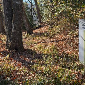 しばらく城跡散策