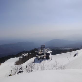 黄砂とスギ・ヒノキ花粉とPM2.5の最凶タッグ。アレルギー体質じゃなくて本当に良かった😌