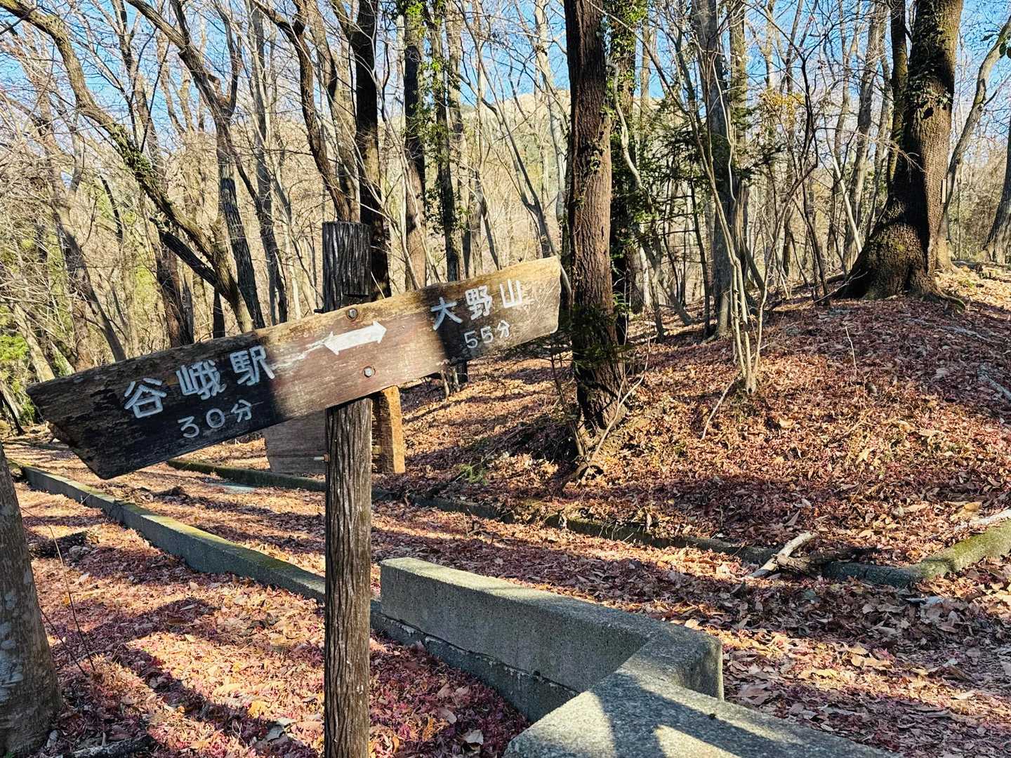 大野山山頂まで55分⏱ ̖́-‬
⊂=͟͟͞͞( '-'∩)