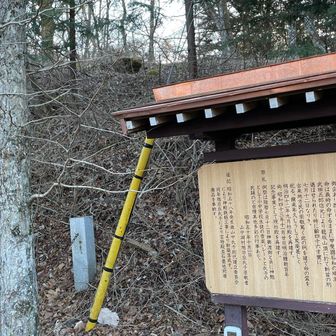 加古坂神社⛩️ この裏あたりに社殿があったようだ。気づかなかった😅
https://www.suwajinja.com/connect.php?id=kagosaka