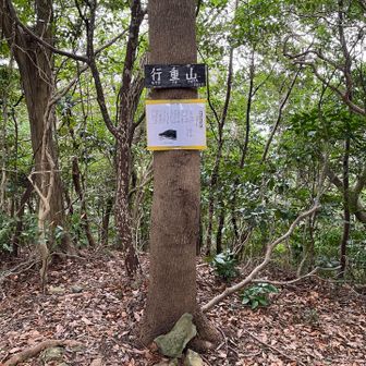 降って登って行重山⛰️
この頃から雨がポツポツと☔