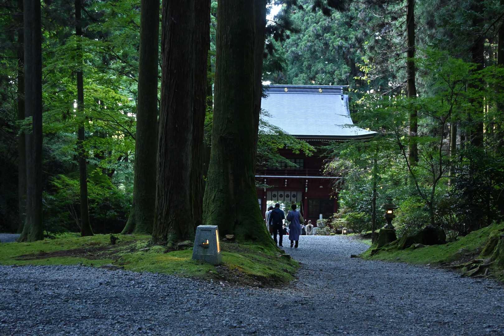 参詣道沿いに置かれている灯籠がいい感じです。