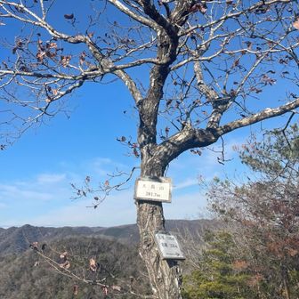 ５座目：大鳥山🦆