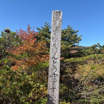 見たかったヤツ