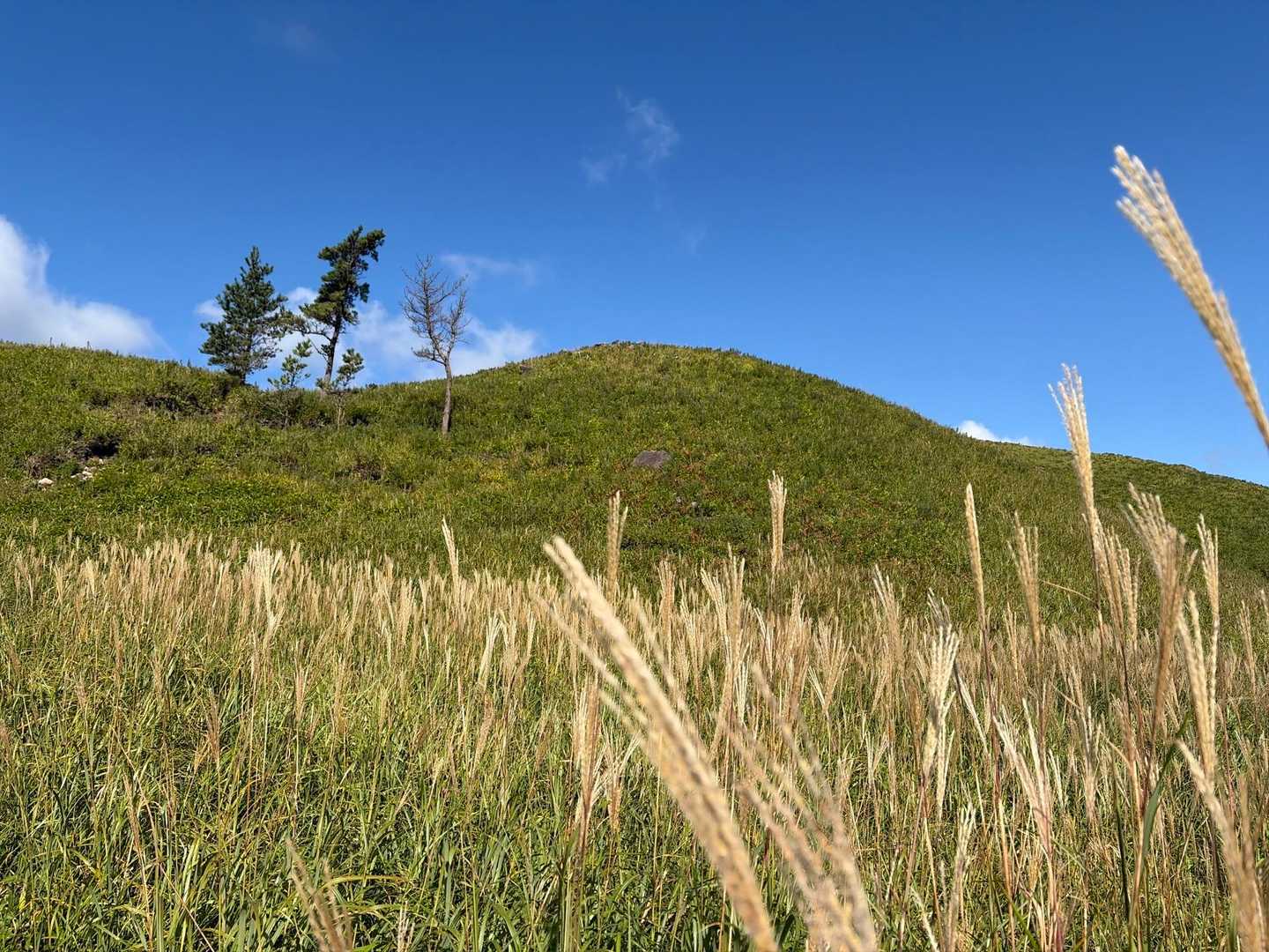 あのおにぎり山へ