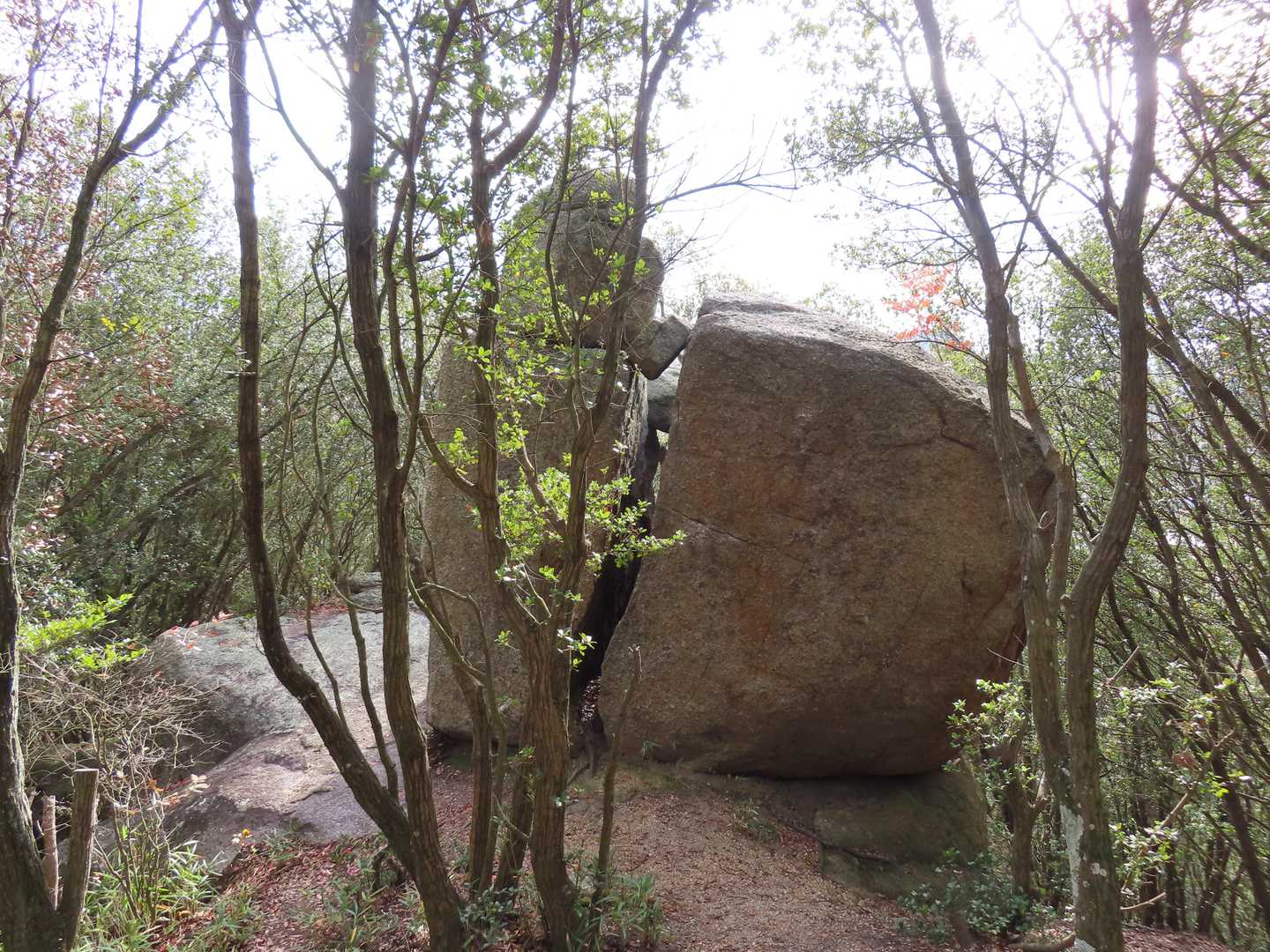 割れた大岩　この付近には大岩がごろごろ