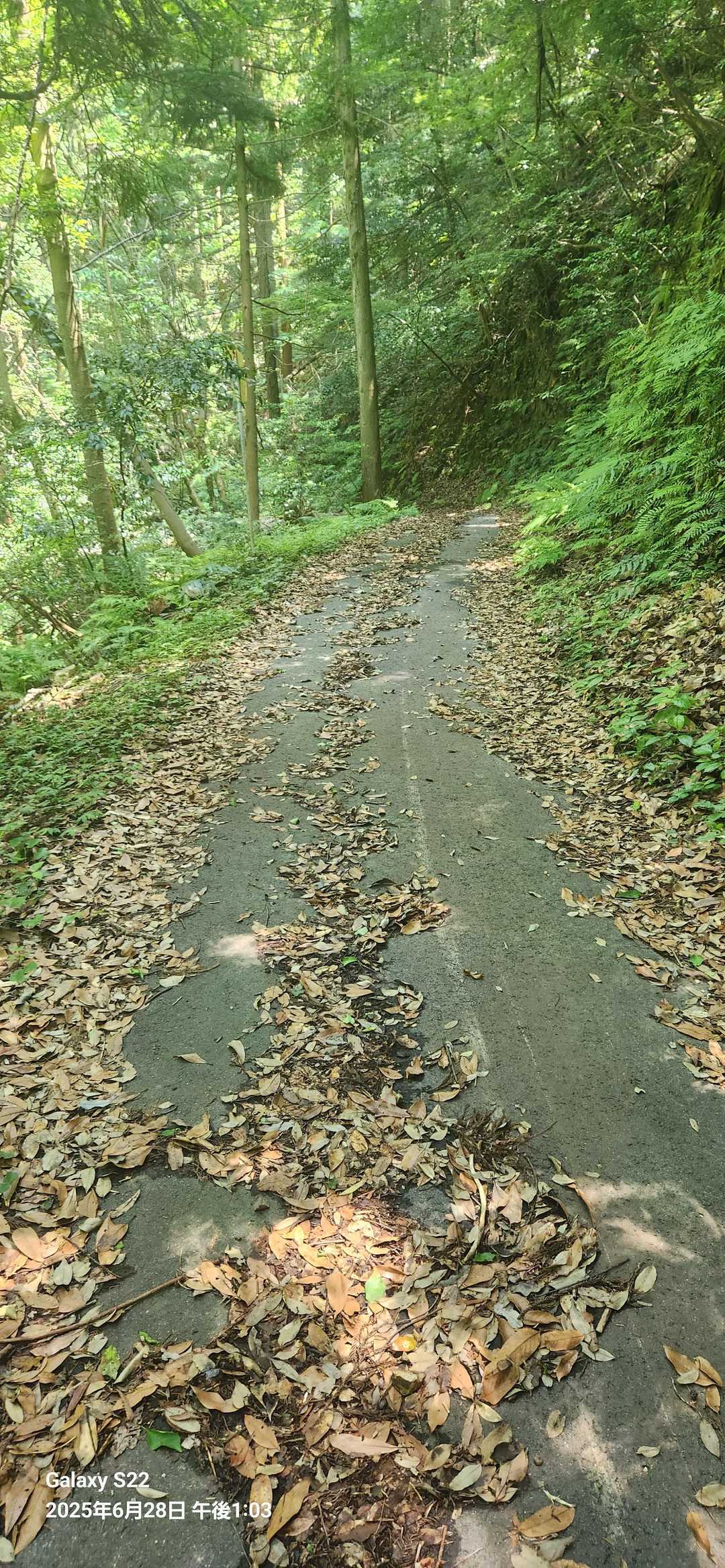 下山します
とりあえず車🚙に戻り昼食をとります