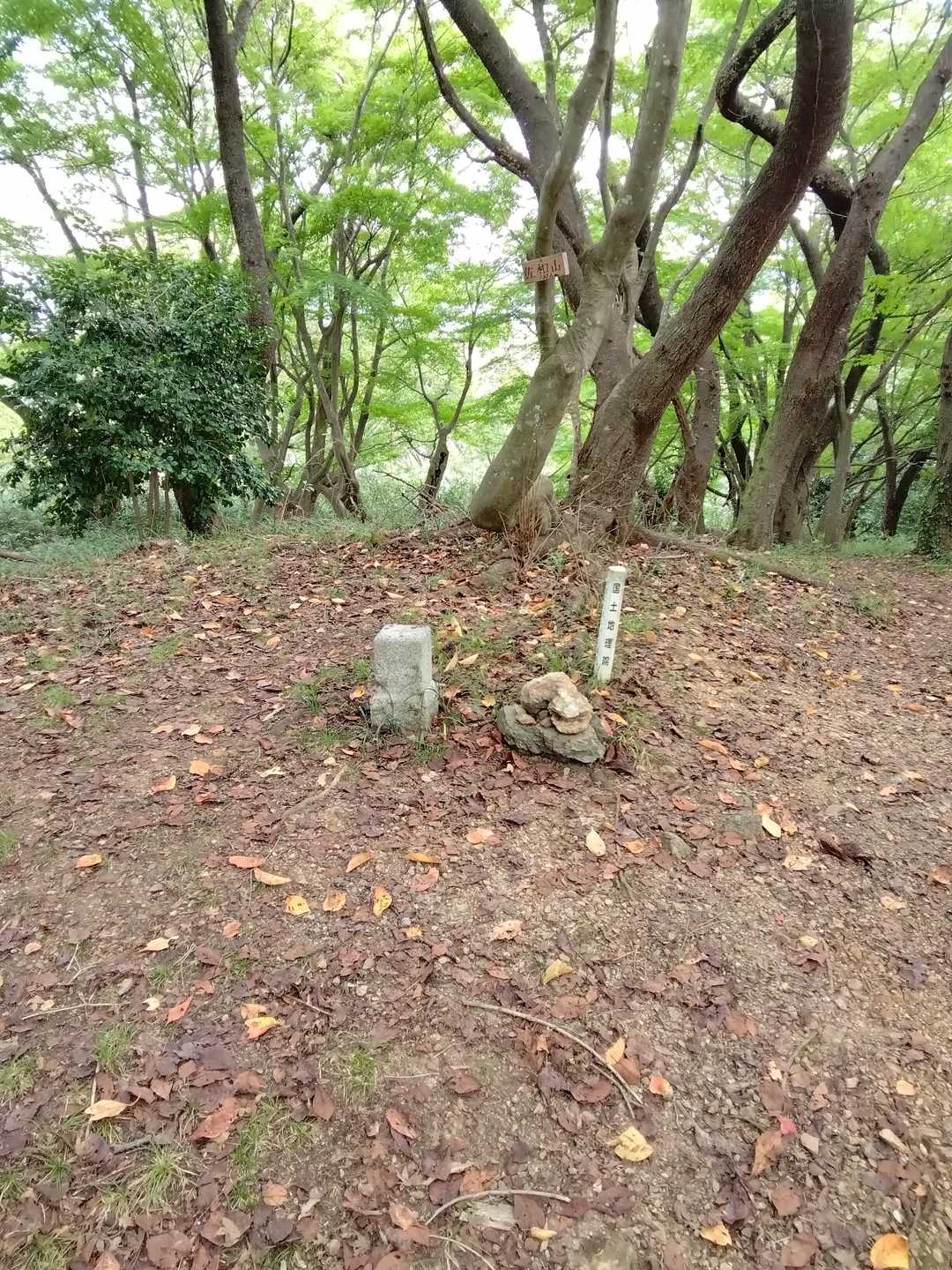 佐和山 往復コースの写真