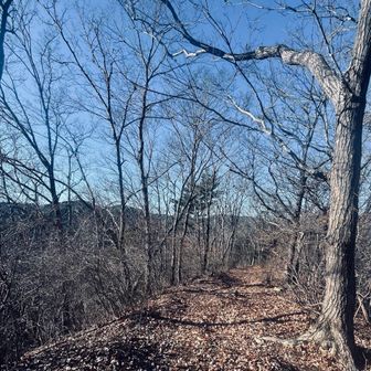 北高尾の稜線きもちいいです